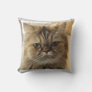 CAT PHOTO CUSTOM SIERKUSSEN
