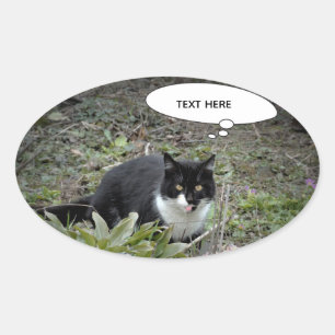Cat Photo Custom Text Sticker