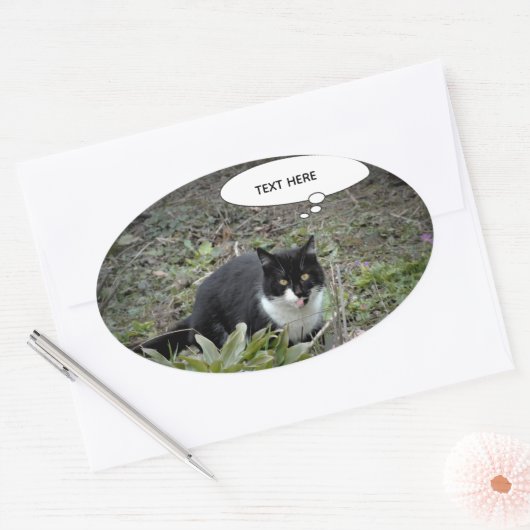 Cat Photo Custom Text Sticker (Envelop)