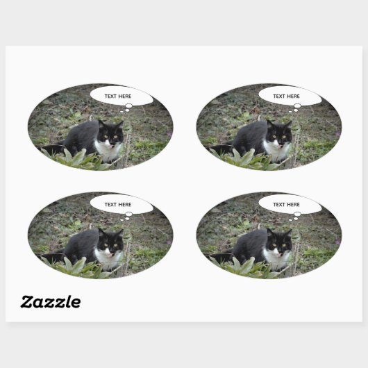 Cat Photo Custom Text Sticker (Vel)