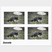 Cat Photo Custom Text Sticker (Vel)
