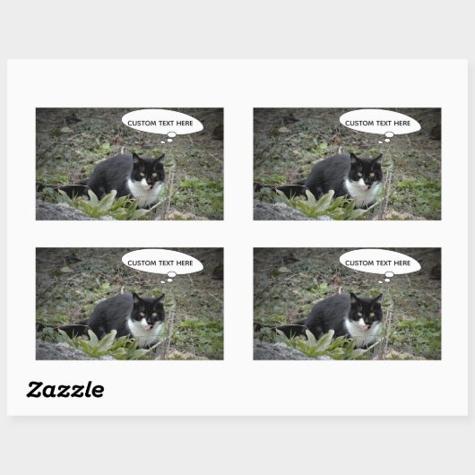Cat Photo Custom Text Sticker (Vel)