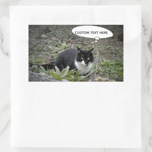 Cat Photo Custom Text Sticker (Tas)