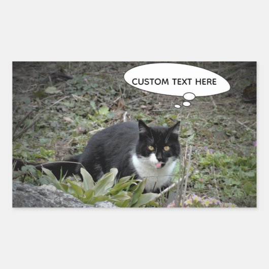 Cat Photo Custom Text Sticker (Voorkant)