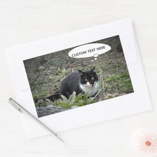 Cat Photo Custom Text Sticker (Envelop)