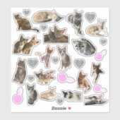 Cat Photo Kiss-Cut Vinyl Stickers (Vel)