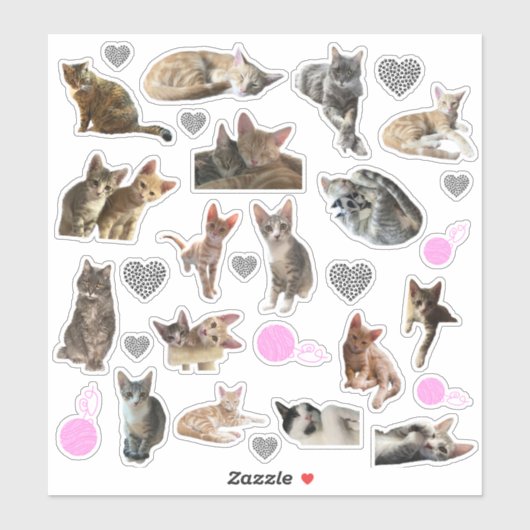 Cat Photo Kiss-Cut Vinyl Stickers (Vel)