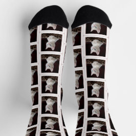 Cat Photo Lover Fun Socks Sokken