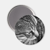 Cat Photo Magnet (Voorkant / Achterkant)