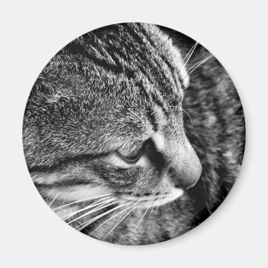 Cat Photo Magnet (Voorkant)