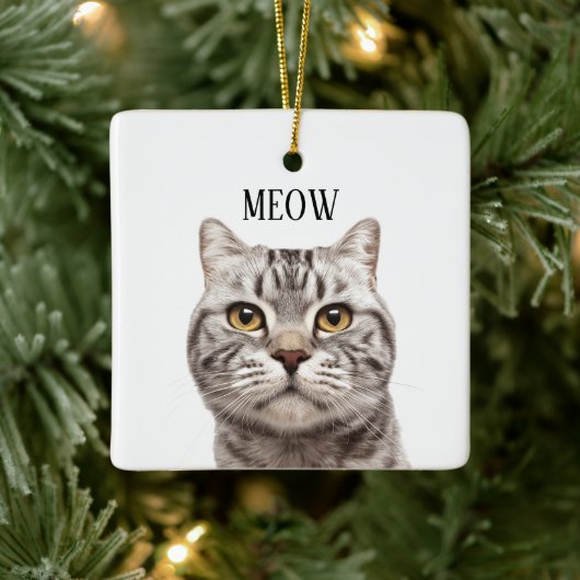 Cat Photo Meow Christmas Ornament (Boom)