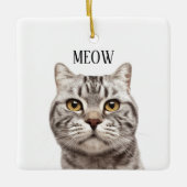 Cat Photo Meow Christmas Ornament (Voorkant)