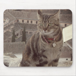 Cat Photo Mousepad Muismat