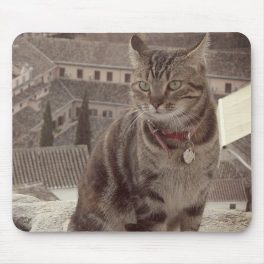 Cat Photo Mousepad Muismat (Voorkant)