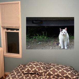 Cat Photo Poster