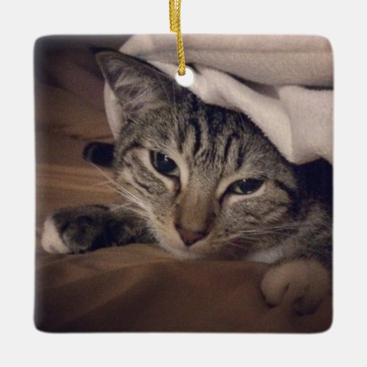 Cat Photo Square Afbeelding Kerstmis Keramisch Ornament (Voorkant)