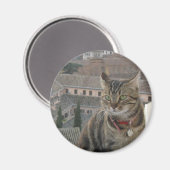 Cat Photo Standard, 5,7 cm ronde magneet (Voorkant / Achterkant)