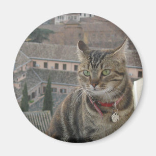 Cat Photo Standard, 5,7 cm ronde magneet