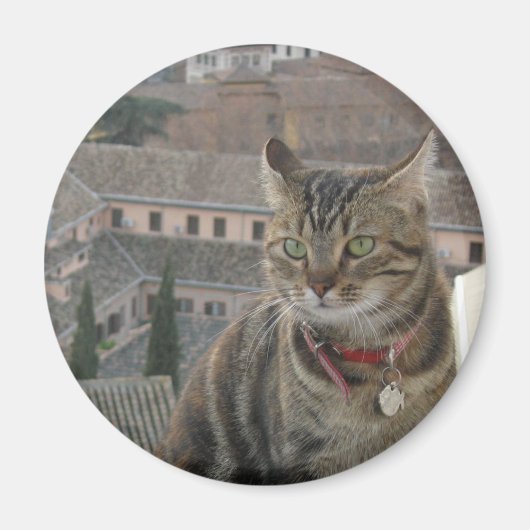 Cat Photo Standard, 5,7 cm ronde magneet (Voorkant)