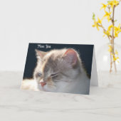 Cat Photo-wenskaart Kaart (Gele Bloem)