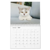 Cat Photos Make Your PAWsome Personalized Calendar Kalender (Jan 2027)