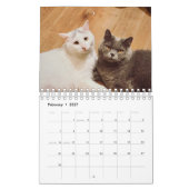 Cat Photos Make Your PAWsome Personalized Calendar Kalender (Feb 2027)
