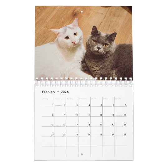 Cat Photos Make Your PAWsome Personalized Calendar Kalender (Feb 2026)