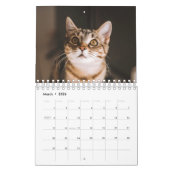Cat Photos Make Your PAWsome Personalized Calendar Kalender (Mar 2026)