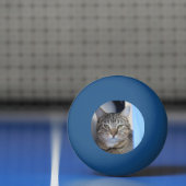 Cat Ping Pong Ball (Net)