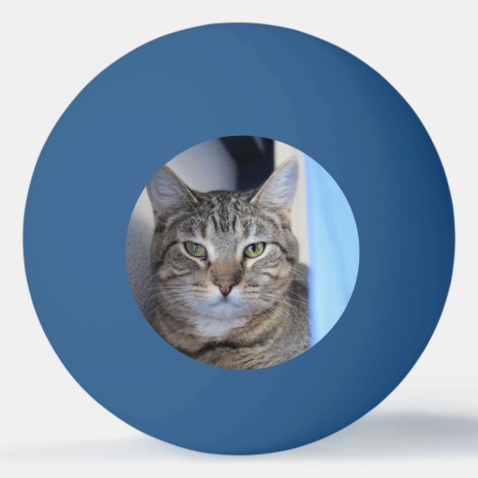Cat Ping Pong Ball (Voorkant)