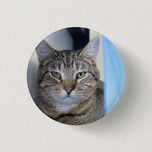 Cat Ping Pong Ball Ronde Button 3,2 Cm (Voorkant)