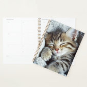 Cat planner (Display)