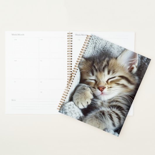Cat planner (Display)
