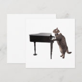 Cat Playing Piano Aankondiging (Voorkant / Achterkant)