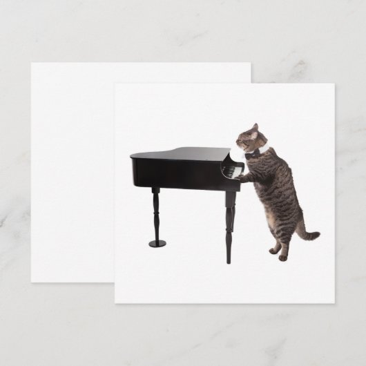 Cat Playing Piano Aankondiging (Voorkant / Achterkant)