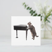 Cat Playing Piano Aankondiging (Staand voorkant)