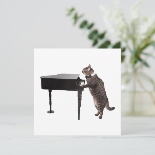 Cat Playing Piano Aankondiging (Staand voorkant)