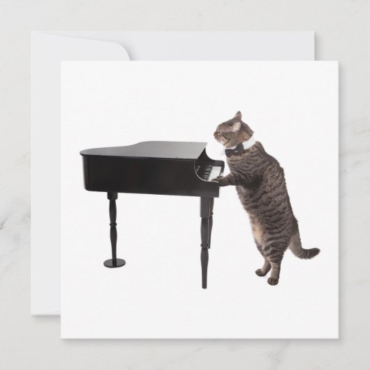 Cat Playing Piano Aankondiging (Voorkant)