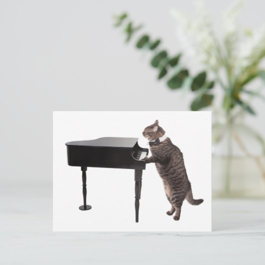 Cat Playing Piano Briefkaart (Staand voorkant)