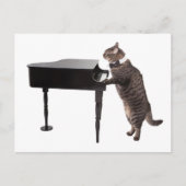 Cat Playing Piano Briefkaart (Voorkant)