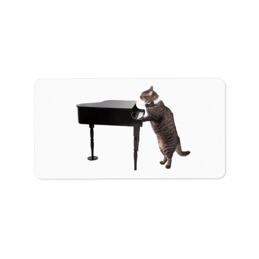 Cat Playing Piano Etiket (Voorkant)