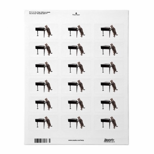 Cat Playing Piano Etiket (Full Sheet)