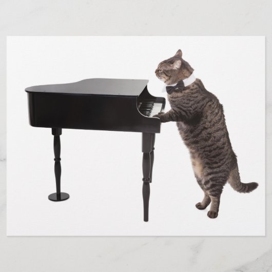 Cat Playing Piano Flyer (Voorkant)