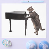 Cat Playing Piano Flyer (Enkel)
