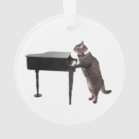 Cat Playing Piano Ornament (achterkant)