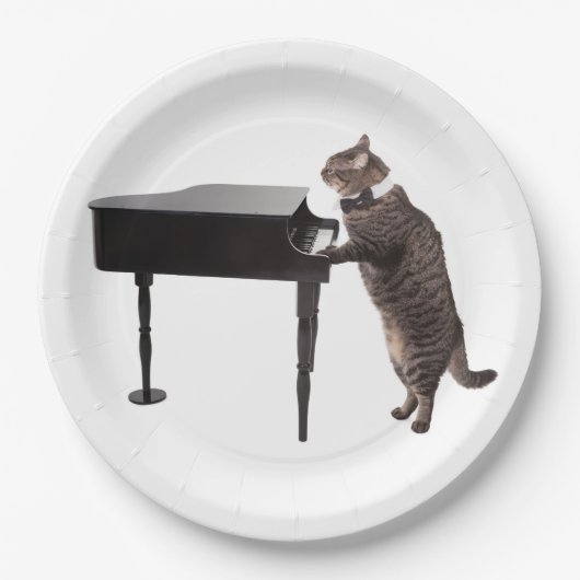 Cat Playing Piano Papieren Bordje (Voorkant)