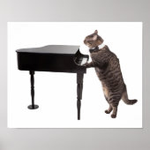 Cat Playing Piano Poster (Voorkant)