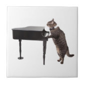 Cat Playing Piano Tegeltje (Voorkant)