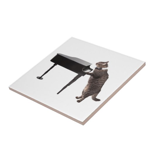 Cat Playing Piano Tegeltje (Zijkant)