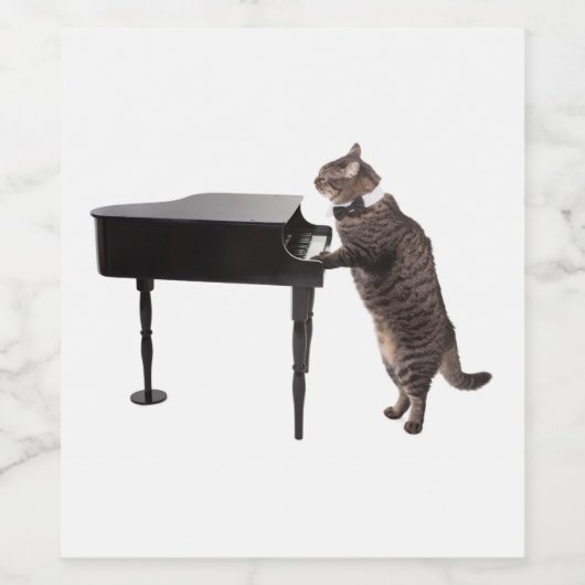 Cat Playing Piano Wijn Etiket (Enkel label)